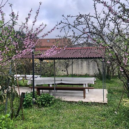 セーCasa Divina Elias Sixto Pampinアパートメント エクステリア 写真